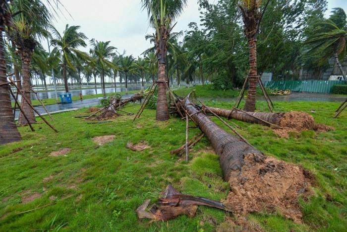 强台风“麦德姆”携强风雨影响海口