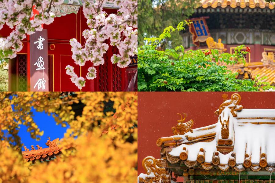 百岁快乐！一组图领略故宫四季流转之美