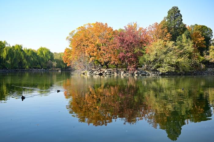 深秋的北大未名湖风景如画