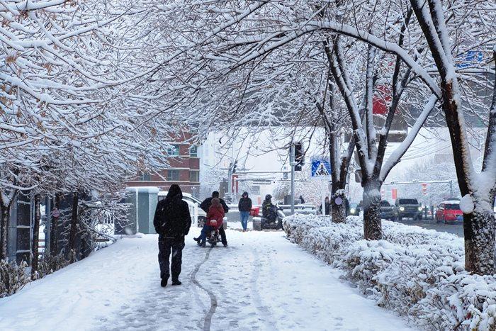 乌鲁木齐迎大暴雪 24小时降水量破纪录