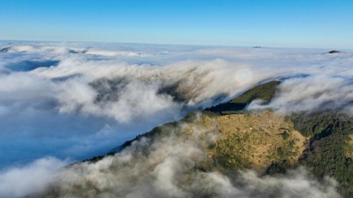 “华中屋脊”神农架雨歇云海生