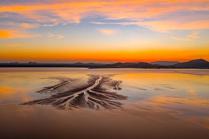 绚丽朝霞映照钱塘江“潮汐树”